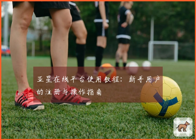 亚星在线平台使用教程：新手用户的注册与操作指南